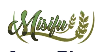 Misifu